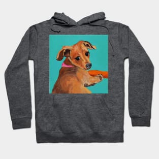 Chiweenie Bean & Carrot Hoodie